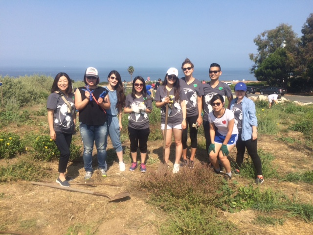 Gone With the Weeds: Greenheart Volunteer Project in Sunny California