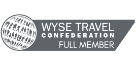 wyse logo